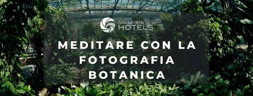 Meditare con la fotografia botanica